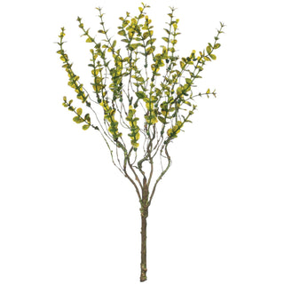 LEAFY BRANCH BUSH