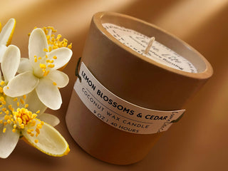 White Fir & Peach |Handmade 9oz Concrete Candle Copy