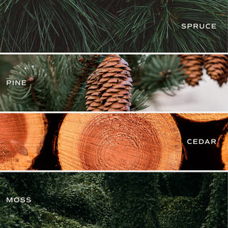 Christmas Tree Farm 15 oz Matte Soy Candle- Home Decor