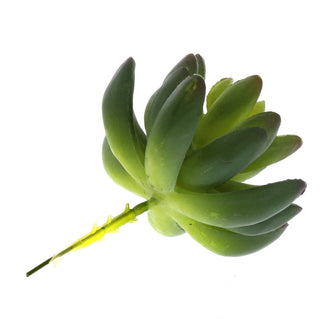 Faux Succulent - Lrg - Green