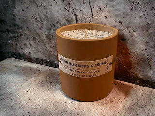 White Fir & Peach |Handmade 9oz Concrete Candle Copy