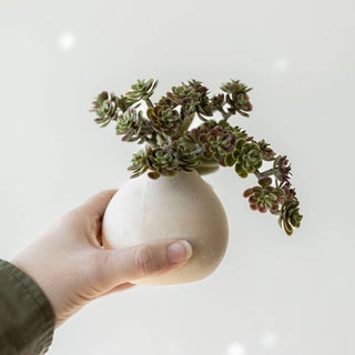 Bud Vase Cream Paper Mache